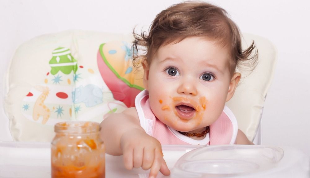 Baby Food : All You Need 